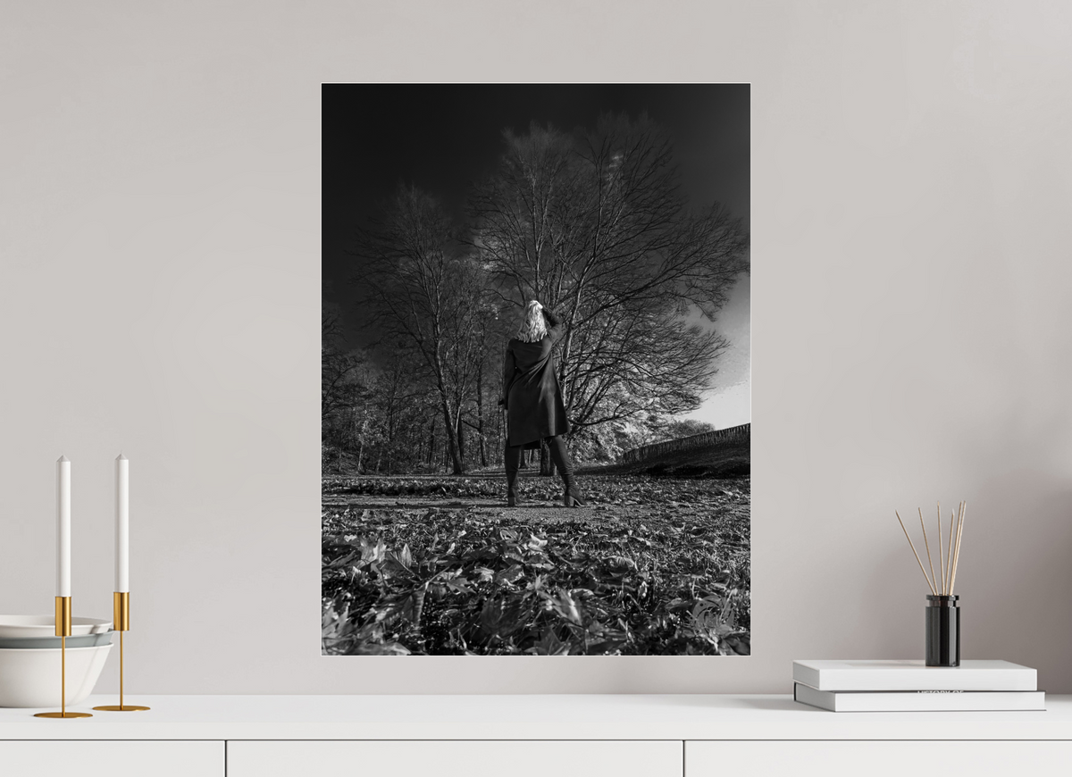 45 x 60 cm, Photo Print Under Acrylic Glass Herbstspaziergang