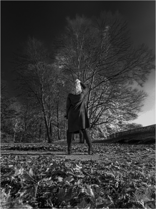 Main image Herbstspaziergang