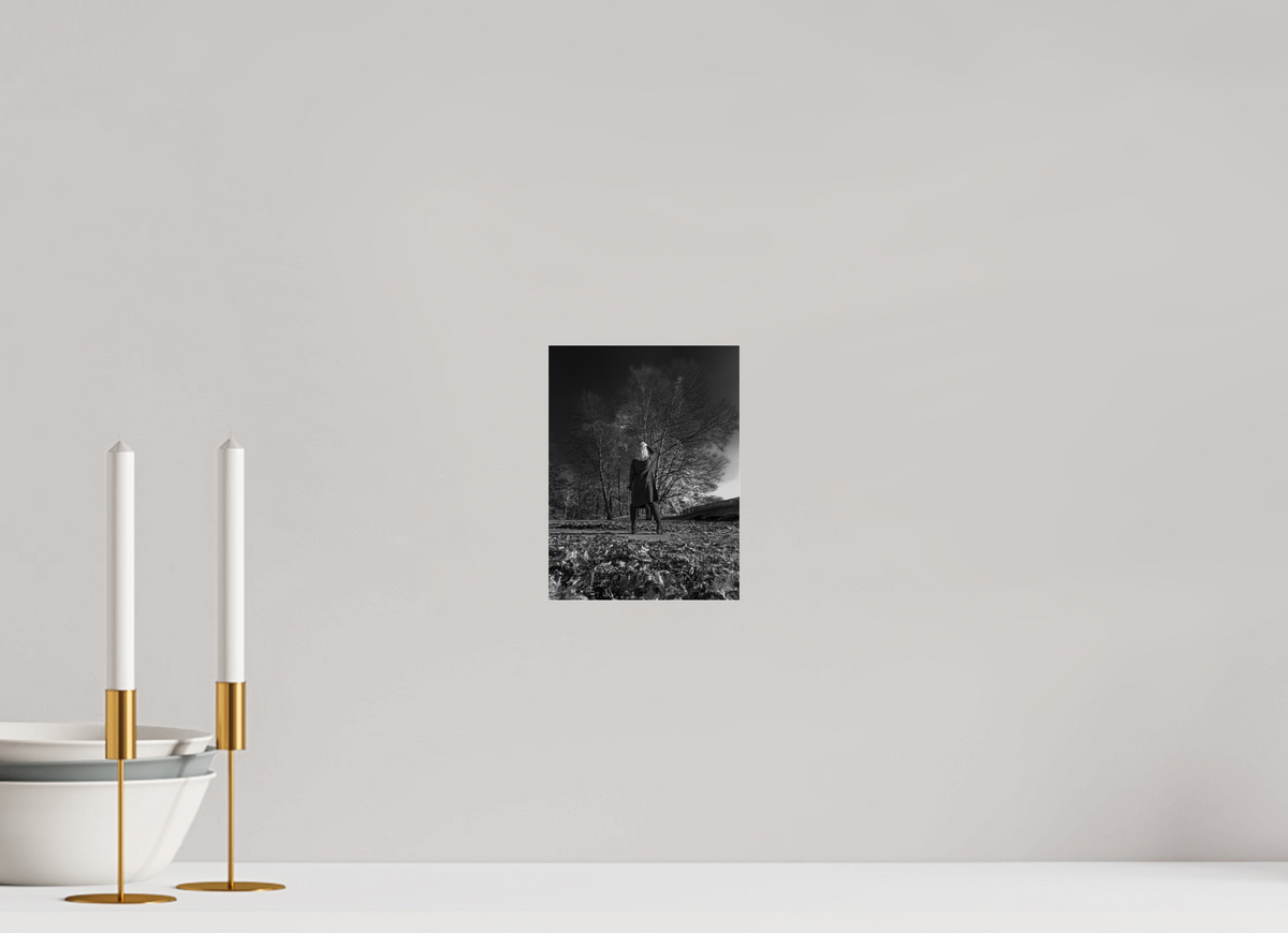 15 x 20 cm, Photo Print Under Acrylic Glass Herbstspaziergang
